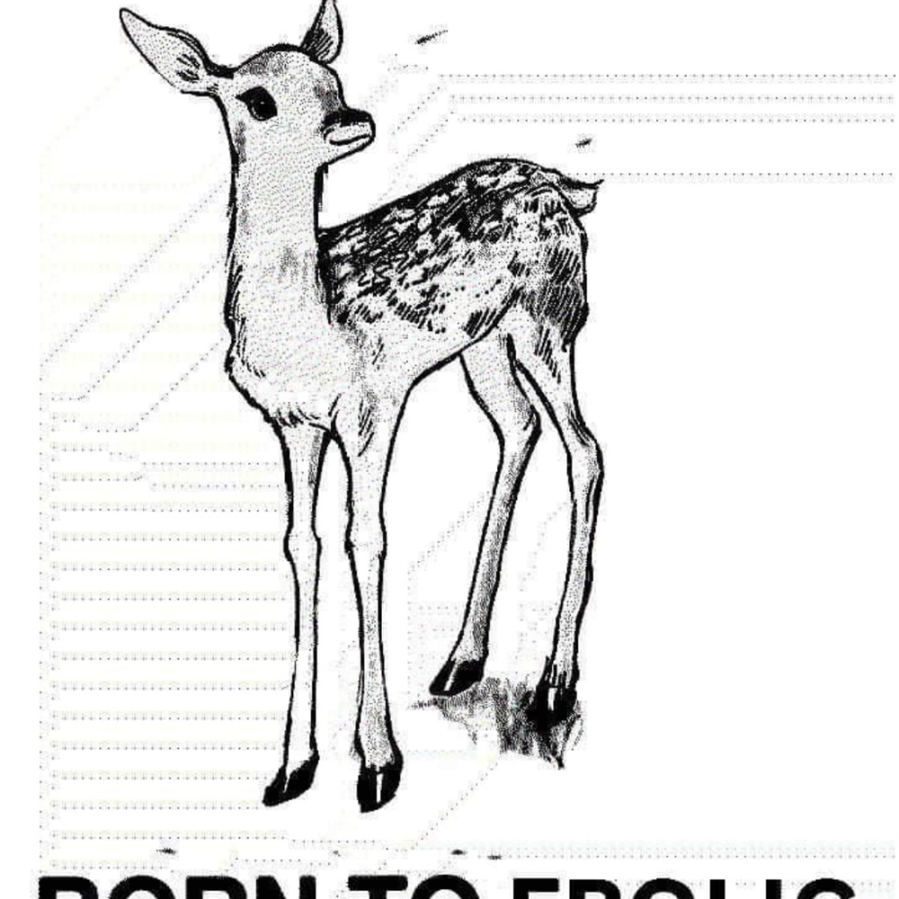 Meet your Posher, Leni